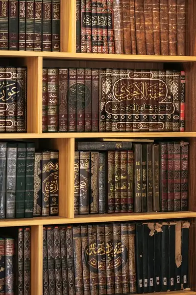 Illustration for the Mushna sitemap page